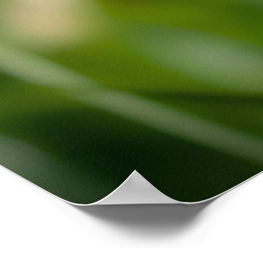 Affiche "Bee-autifull" (Coin)