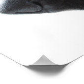 Affiche Berger Allemand (Coin)