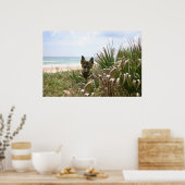 Affiche berger allemand Beachgrass (Cuisine)
