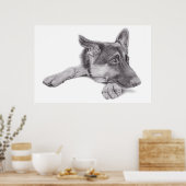 Affiche berger allemande (Cuisine)