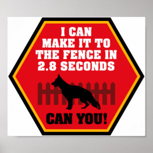 Affiche berger allemande