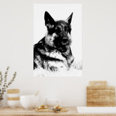 Affiche berger allemande (Cuisine)