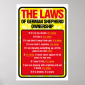 Affiche berger allemande (Devant)