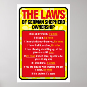 Affiche berger allemande