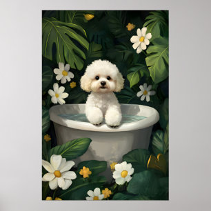Affiche Bichon Frise dans baignoire, Affiche Chien