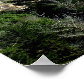 Affiche Big Sur (Coin)