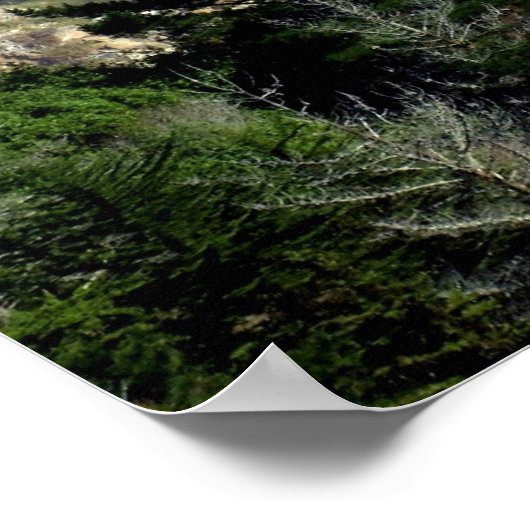 Affiche Big Sur (Coin)