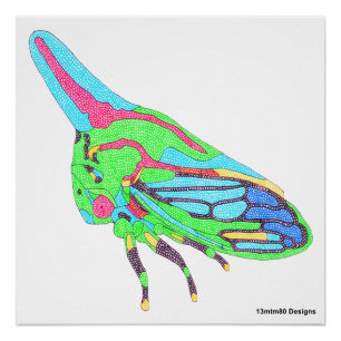 Affiche (blanc) - Cicadelle du chêne