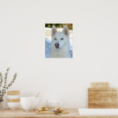 Affiche blanche de Husky Sibérien (Cuisine)
