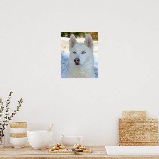 Affiche blanche de Husky Sibérien (Cuisine)