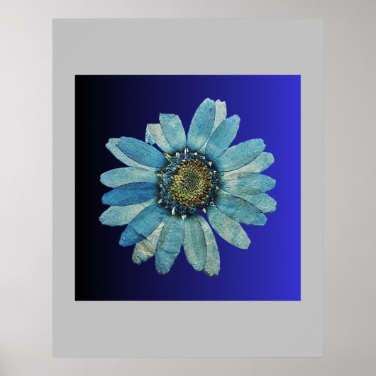 affiche bleue (Devant)