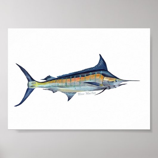 Affiche Blue Marlin (Devant)