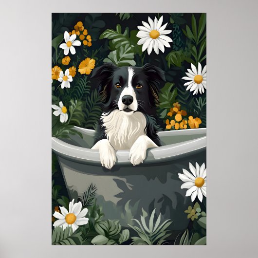Affiche Border Collie dans baignoire, Affiche drôl (Devant)