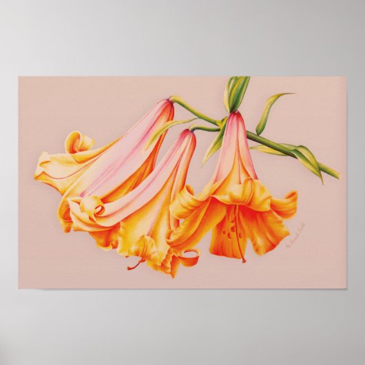 Affiche botanique d'art fin "Lilies" (Devant)