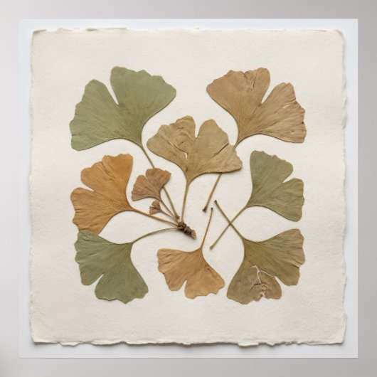 Affiche botanique de feuille de Ginkgo (Devant)