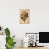 Affiche botanique de fleur de Protéa rose (Bureau à domicile)