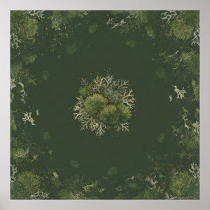 Affiche botanique de mandala de mousse et de liche