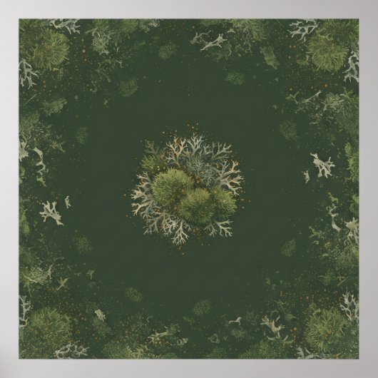 Affiche botanique de mandala de mousse et de liche (Devant)