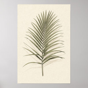 Affiche botanique de palme verte