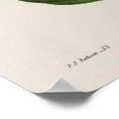 Affiche botanique vintage (Coin)