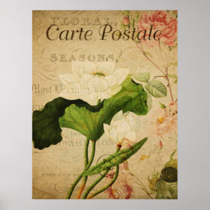 Affiche botanique vintage - Fleur de lotus