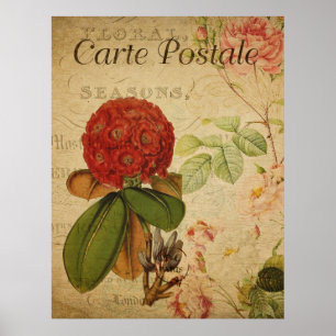 Affiche botanique vintage - Rhododenron