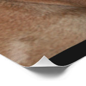 Affiche Boudogue Français (Coin)