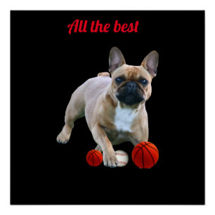 Affiche Boudogue Français