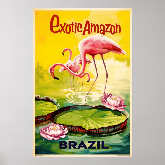 Affiche Brésil (Devant)