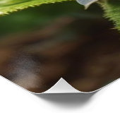 Affiche brillante de bébé fée dans la forêt magiqu (Coin)