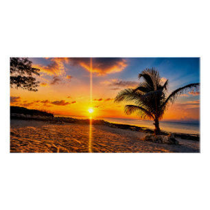 Affiche brillante Palmier Coucher de soleil des Ca
