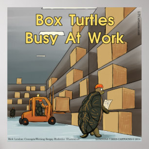 Affiche brillante Tortue Boîte Drôle