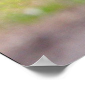 affiche Brown (Coin)