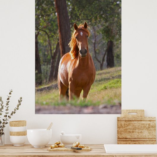 affiche Brown (Cuisine)