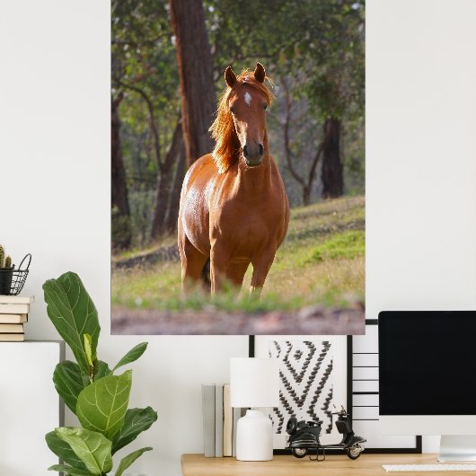 affiche Brown (Bureau à domicile)