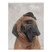 Affiche Bull Mastiff (Devant)