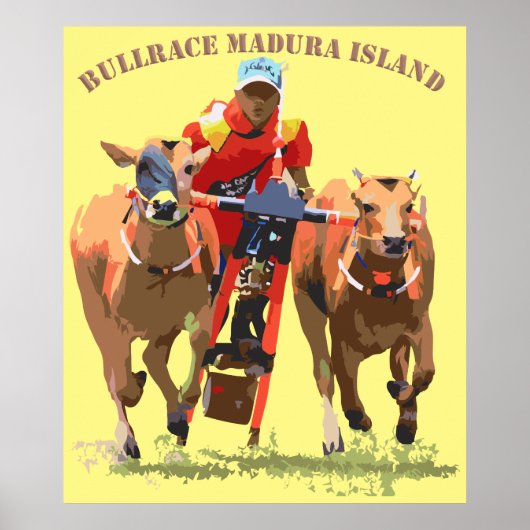 Affiche Bull Race (Devant)