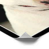 Affiche Bull Terrier (Coin)