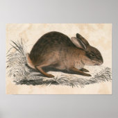 Affiche Bunny vintage (Devant)