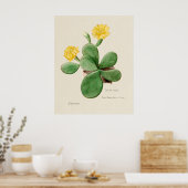 Affiche Cactus 2 (Cuisine)