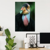 Affiche California Condor (Bureau à domicile)