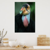Affiche California Condor (Cuisine)