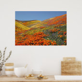 Affiche California Poppies FROM 8.99 (Cuisine)