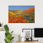 Affiche California Poppies FROM 8.99 (Bureau à domicile)