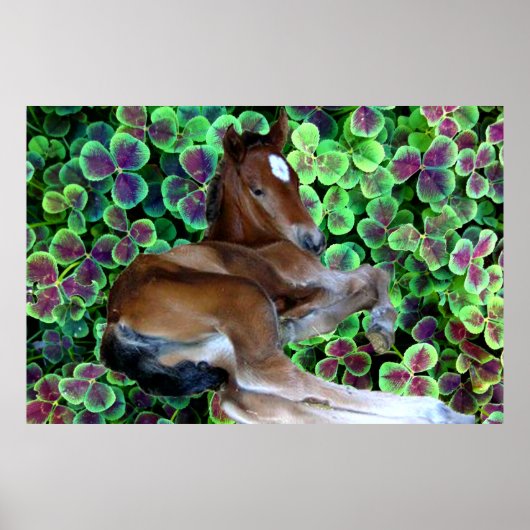 Affiche CALISTA dans le CLOVER (Devant)