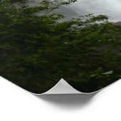 Affiche canadienne sur le paysage Cascade Poster (Coin)