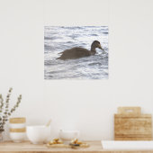 Affiche Canard Noir dans l'Océan (Cuisine)