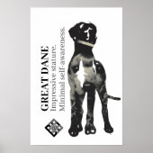 Affiche Caniche et Grand Danois (Devant)