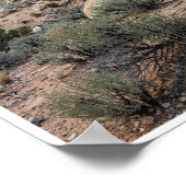 Affiche Canyon de grès ensoleillé et désert de gen (Coin)