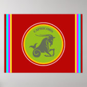 Affiche Capricorn (Devant)